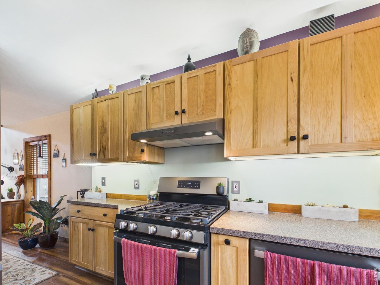 131 West Boulder Street Nederland, CO 80466 - Photo 11 of 46 Gas stove, pull-out cabinet storage, dishwasher, decorative space over cabinets.