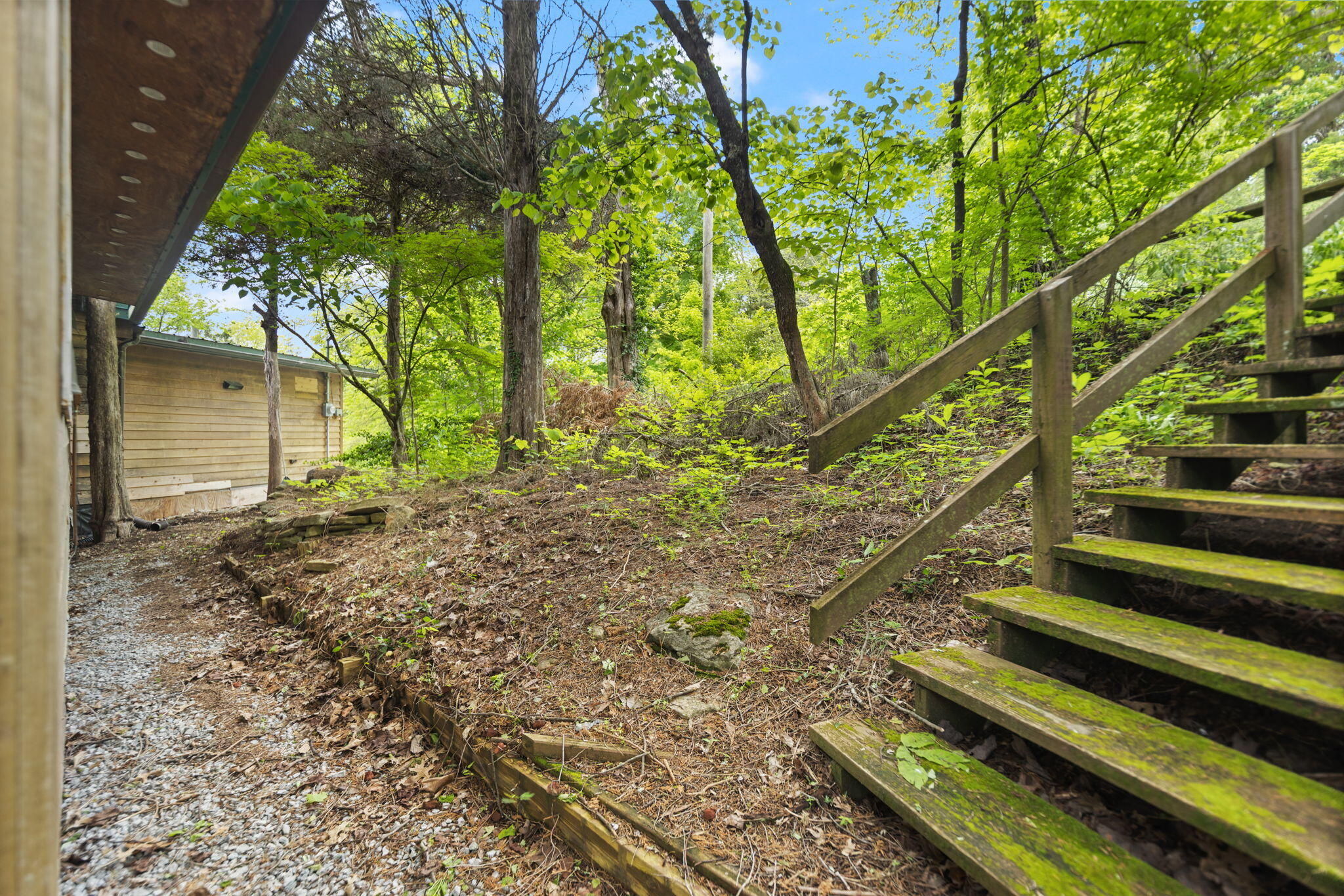 571 Whitlock Road Richmond, KY 40475 - Photo 31 of 59 3-web-or-mls-118A9719