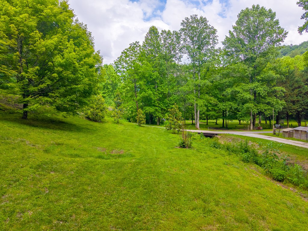 224 Cochrans Cr Road Robbinsville, NC 28771 - Photo 39 of 42