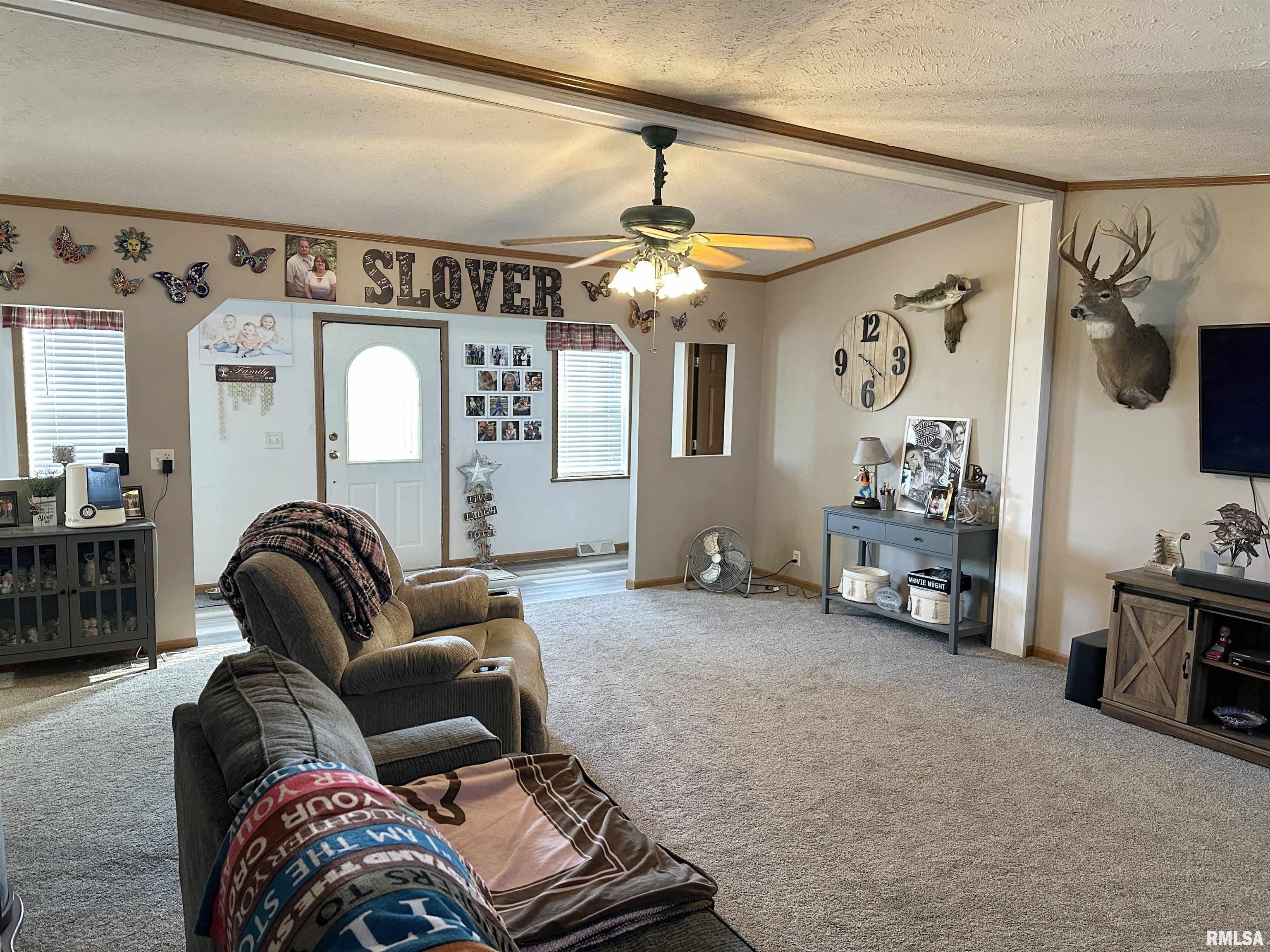 1219 Buchanan Road Iuka, IL 62849 - Photo 19 of 74