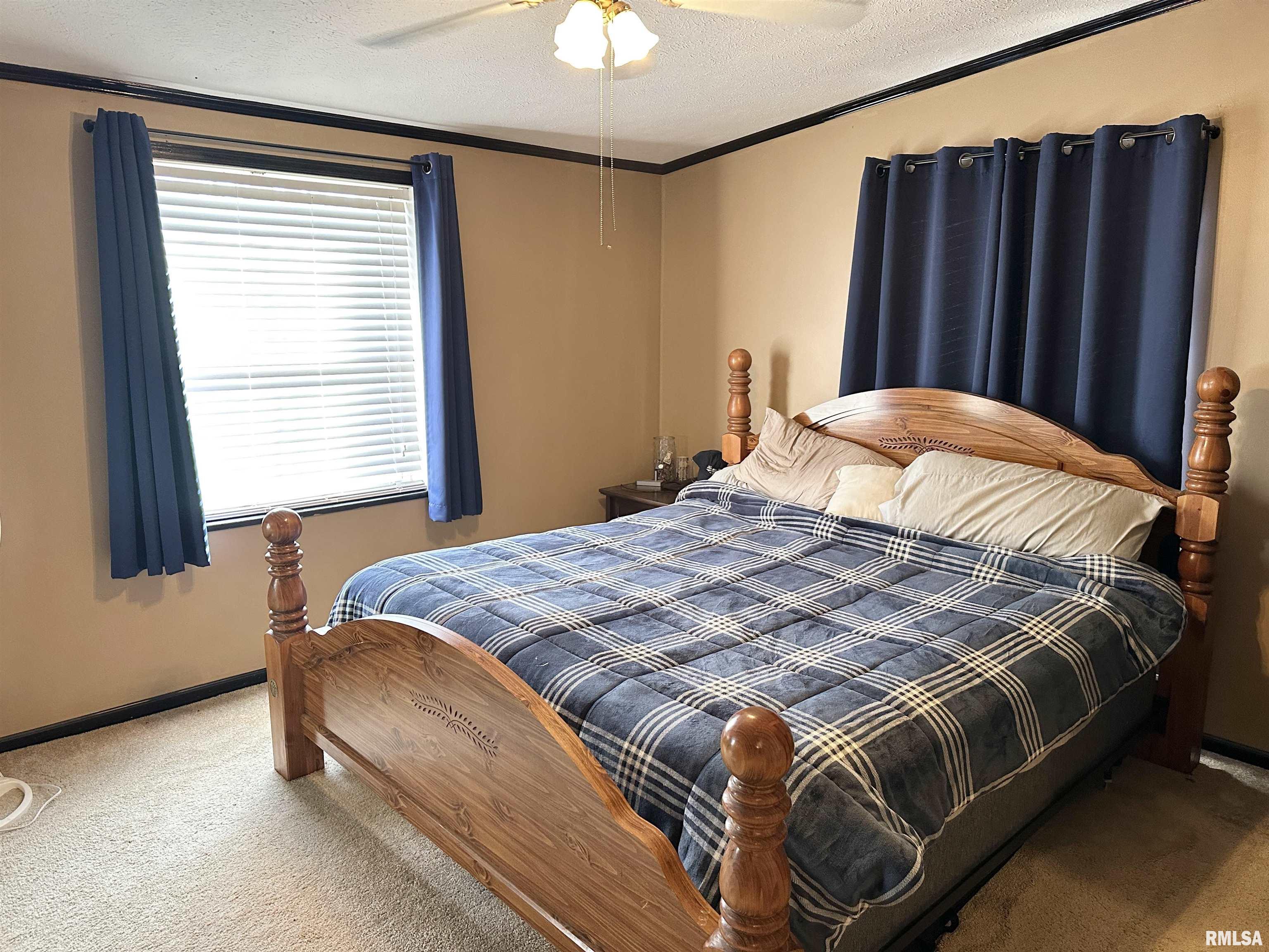 1219 Buchanan Road Iuka, IL 62849 - Photo 22 of 74