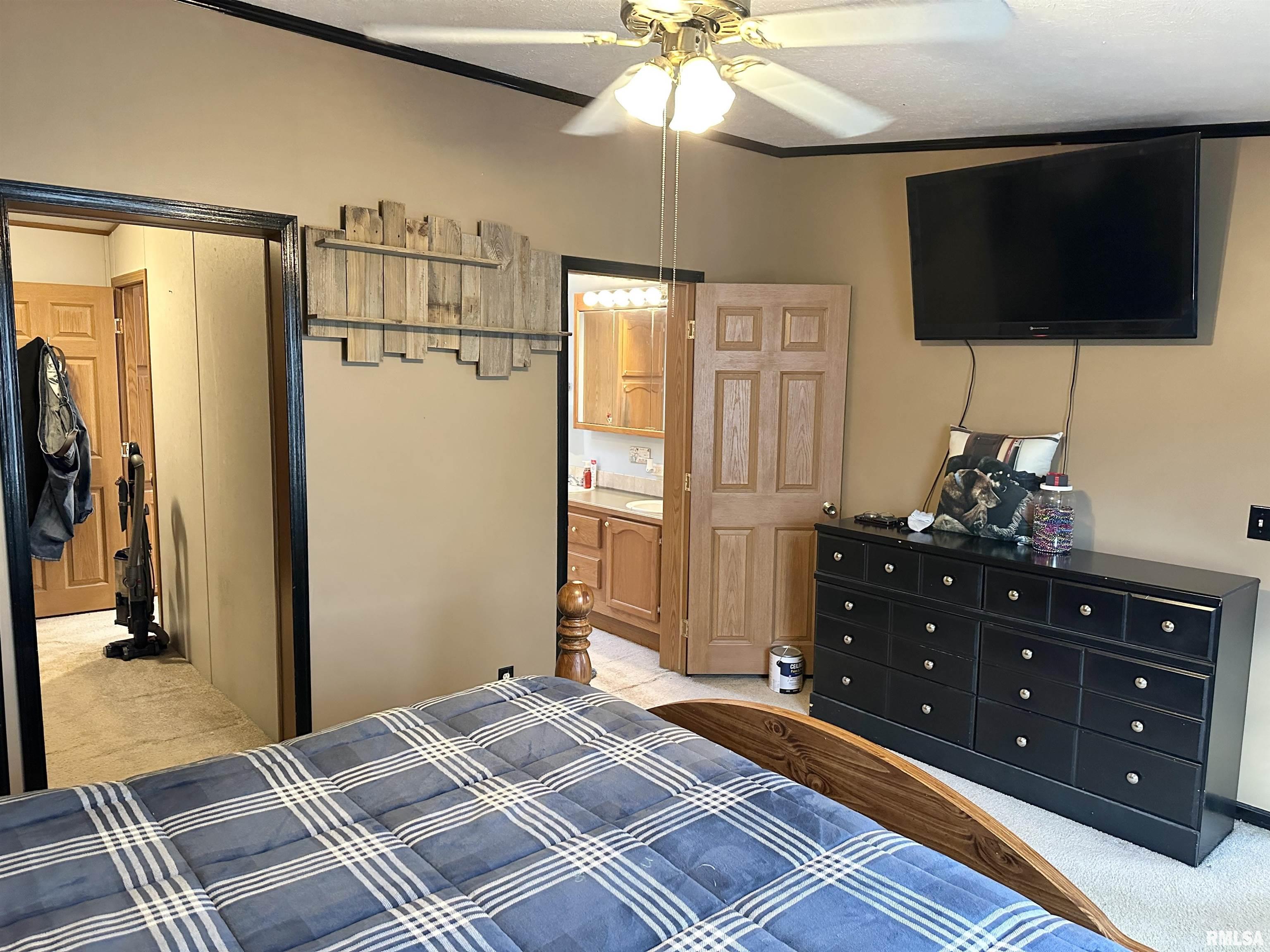 1219 Buchanan Road Iuka, IL 62849 - Photo 24 of 74