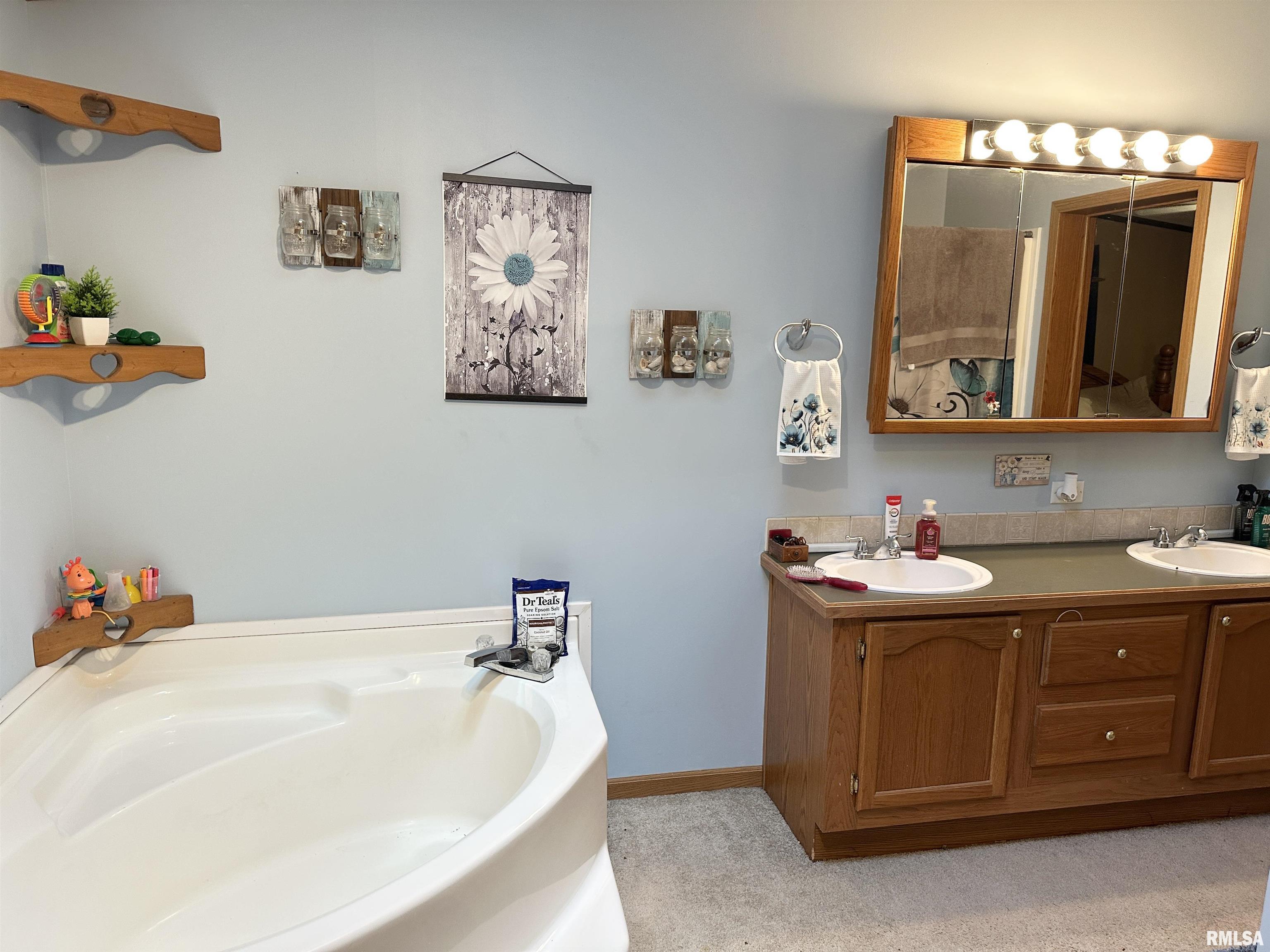 1219 Buchanan Road Iuka, IL 62849 - Photo 27 of 74