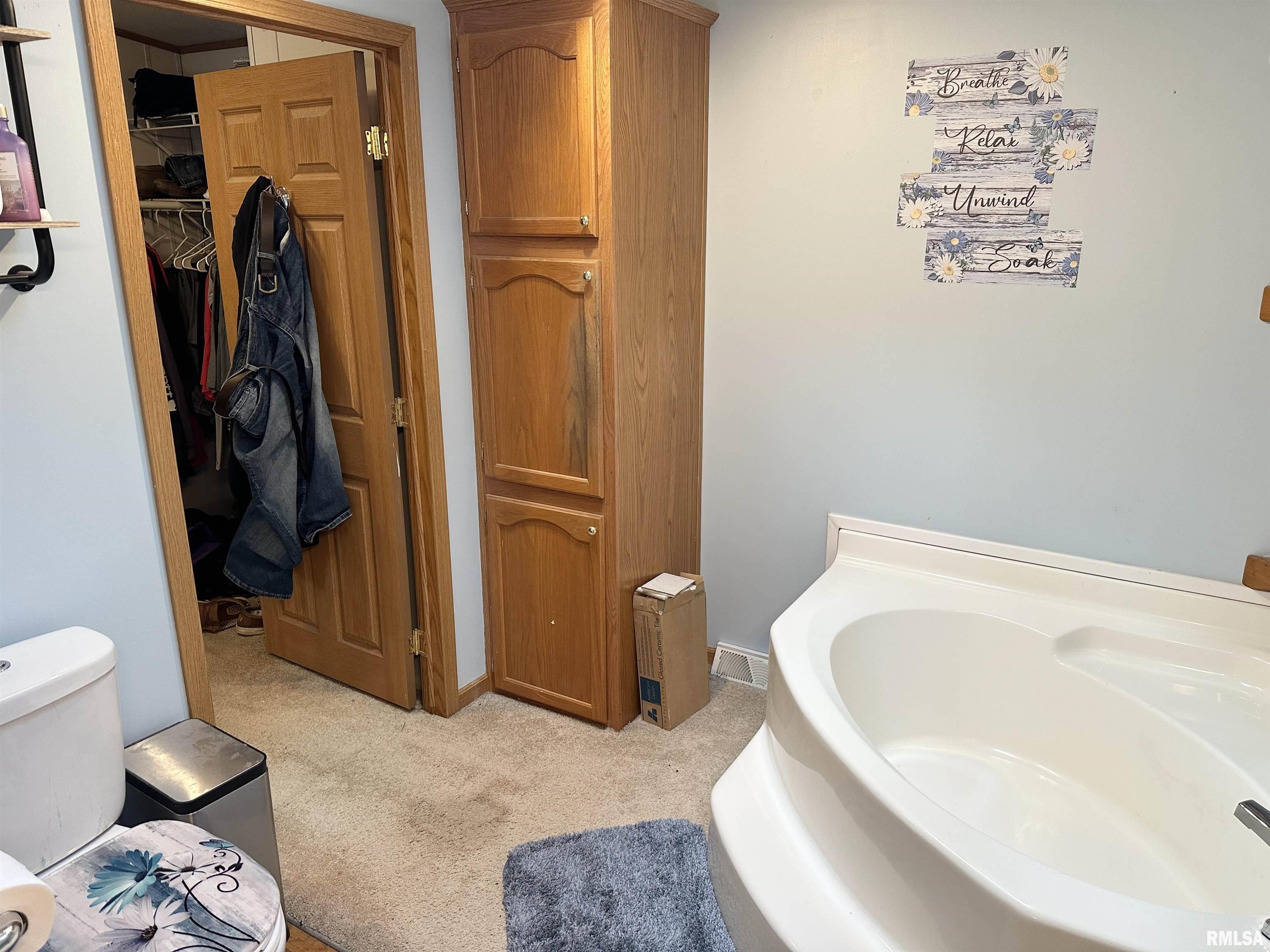 1219 Buchanan Road Iuka, IL 62849 - Photo 28 of 74