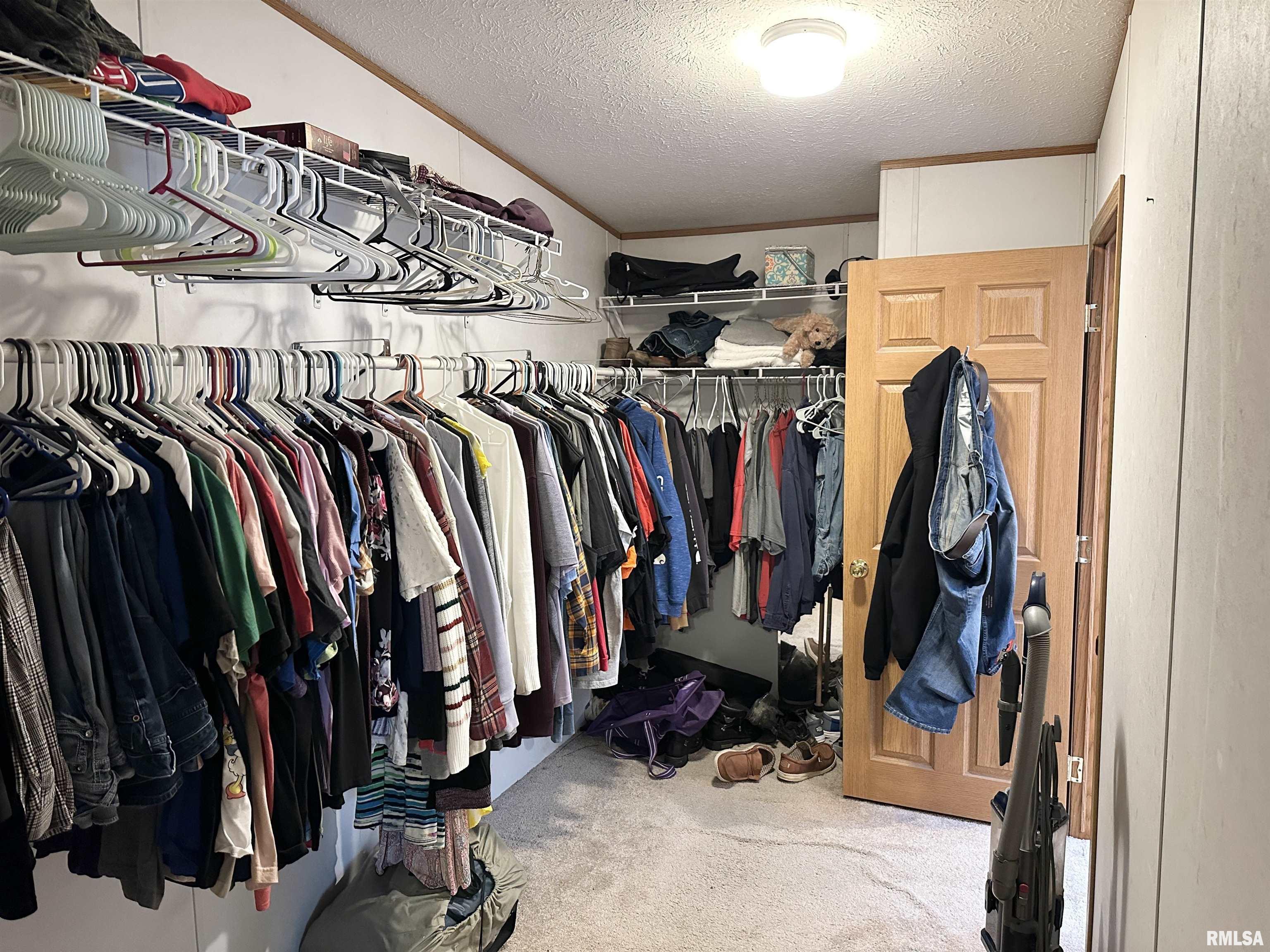 1219 Buchanan Road Iuka, IL 62849 - Photo 30 of 74