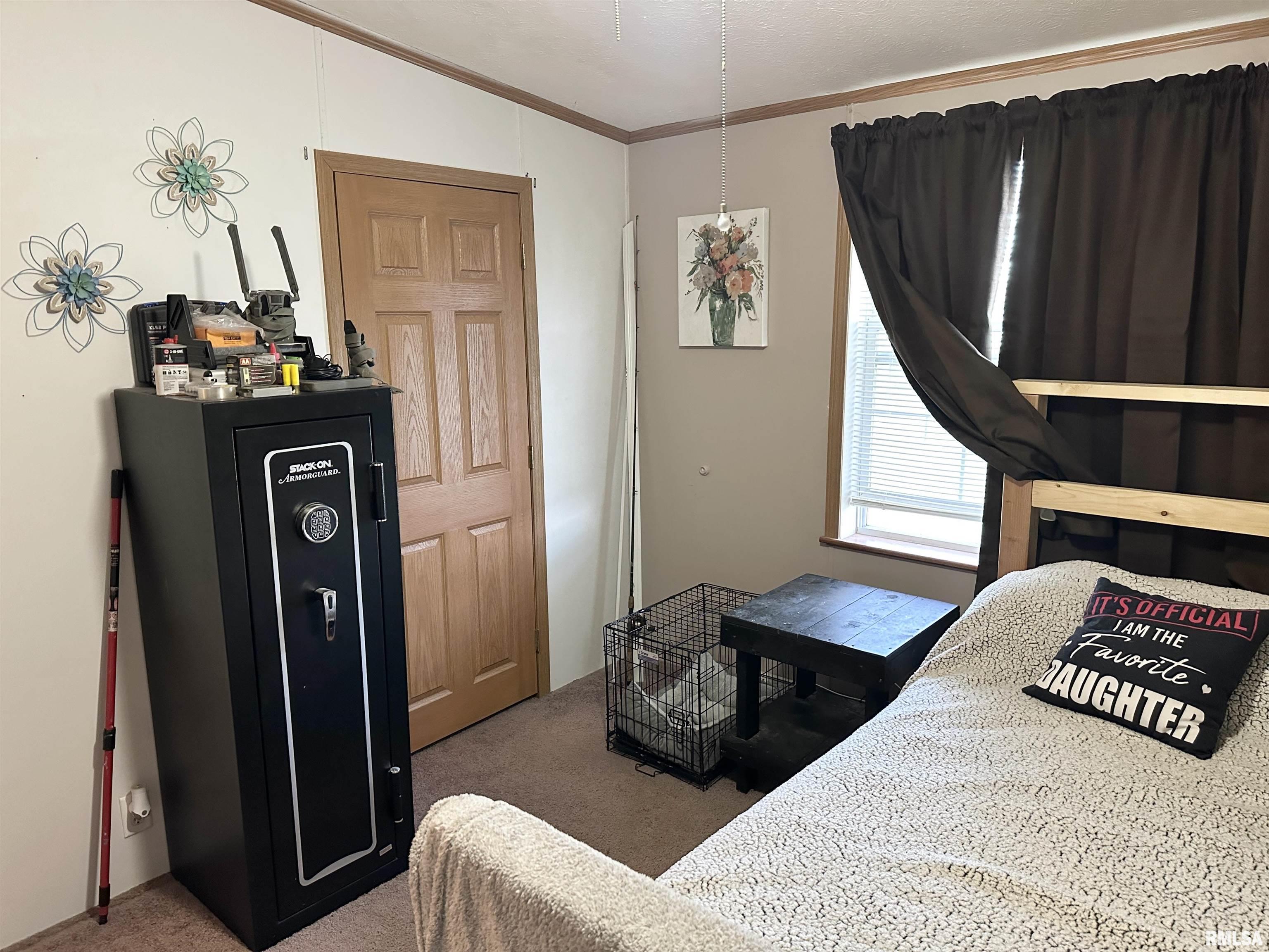 1219 Buchanan Road Iuka, IL 62849 - Photo 31 of 74