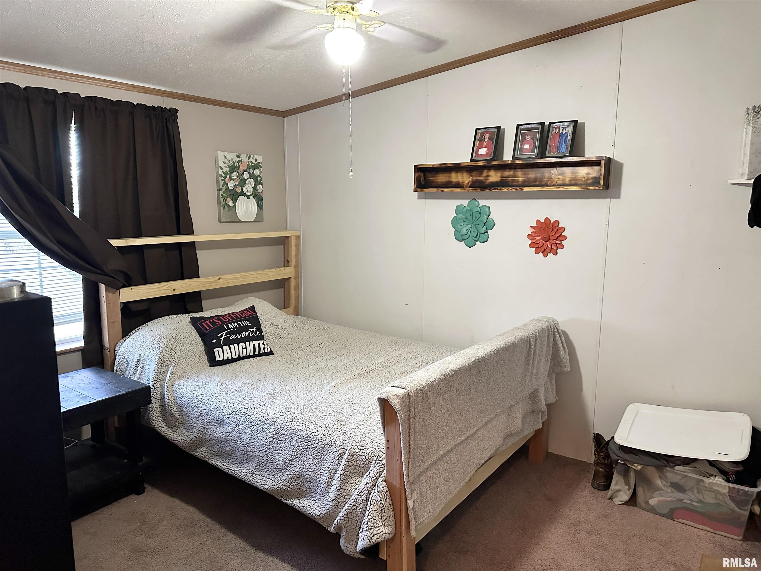 1219 Buchanan Road Iuka, IL 62849 - Photo 33 of 74