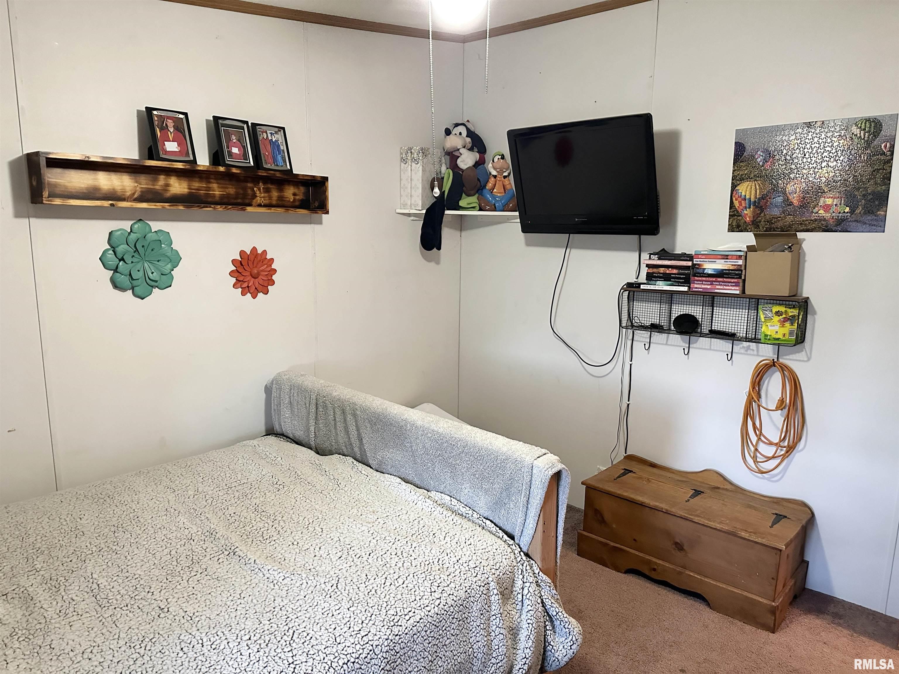 1219 Buchanan Road Iuka, IL 62849 - Photo 34 of 74