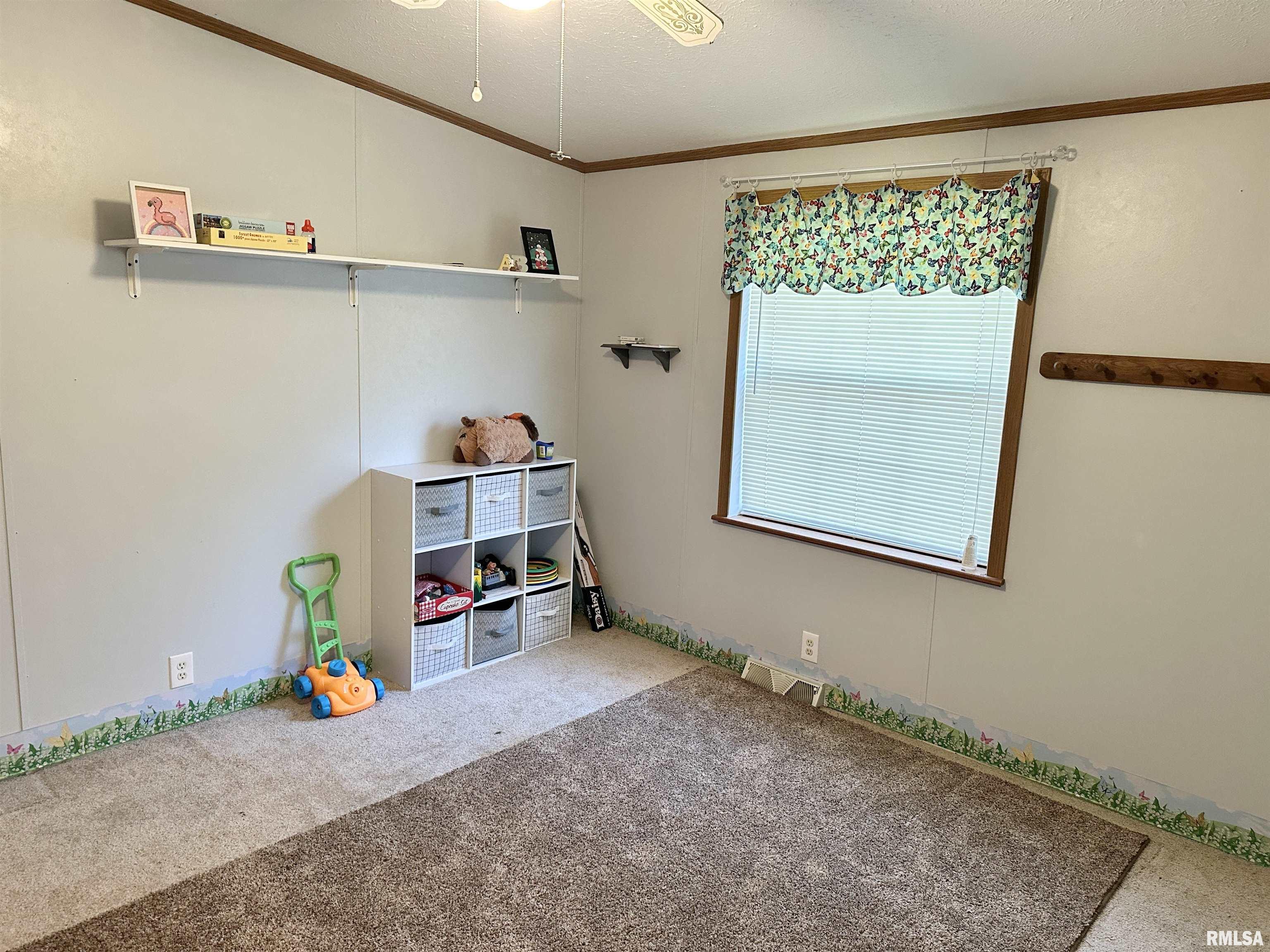 1219 Buchanan Road Iuka, IL 62849 - Photo 36 of 74