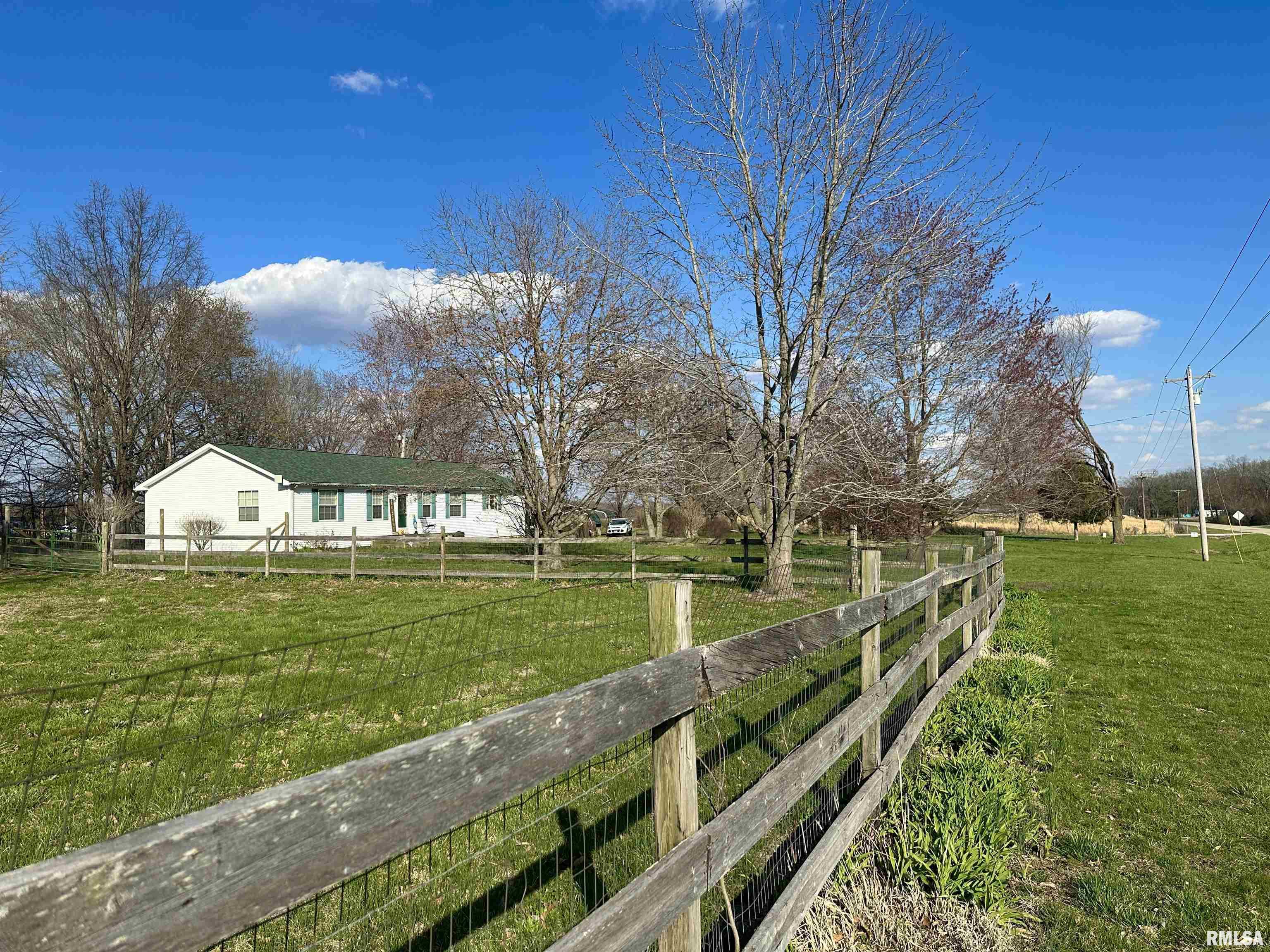 1219 Buchanan Road Iuka, IL 62849 - Photo 4 of 74