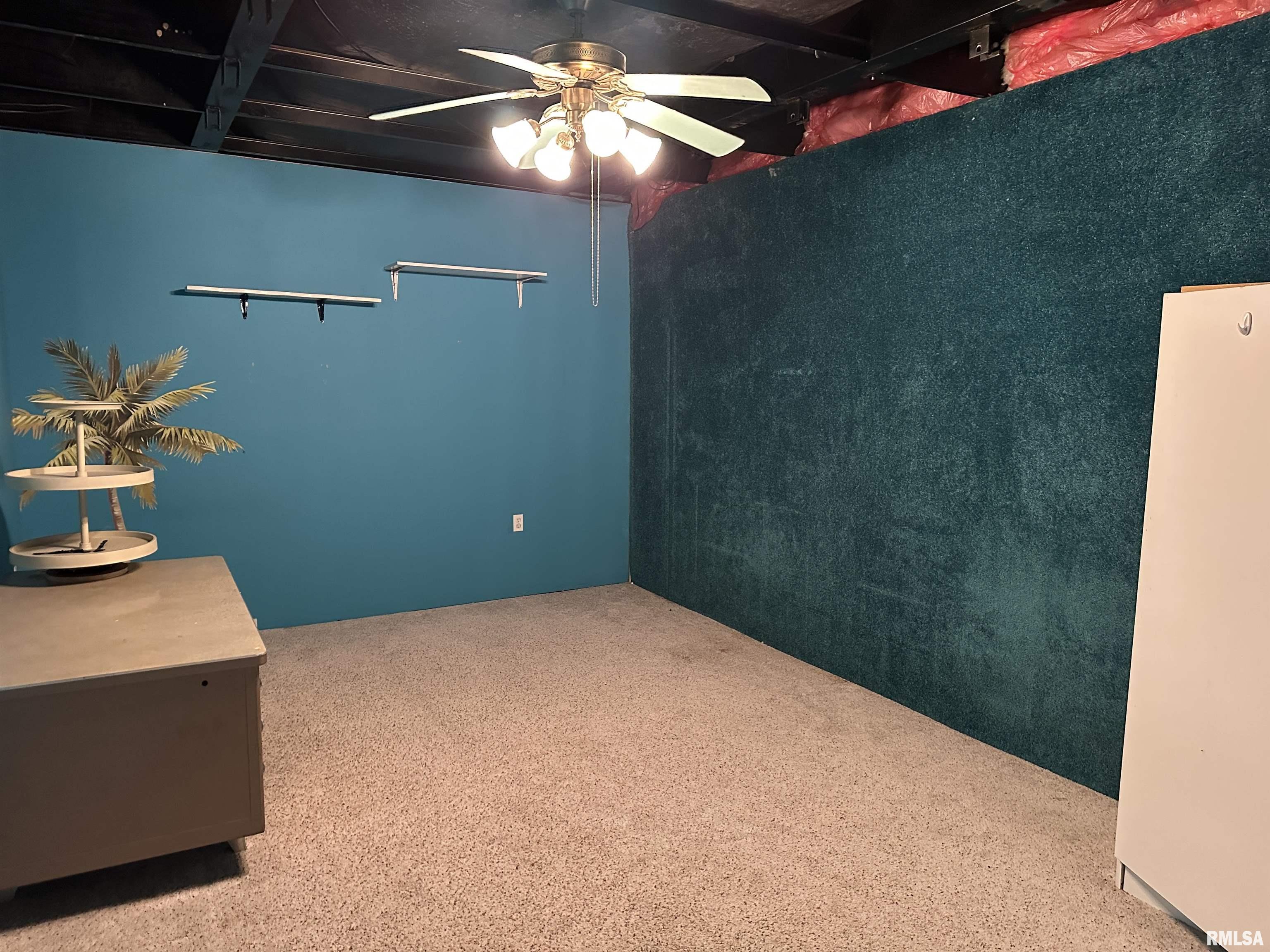 1219 Buchanan Road Iuka, IL 62849 - Photo 44 of 74