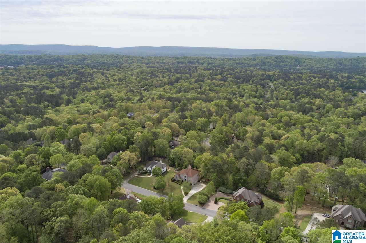 328 Turnberry Road Hoover, AL 35244 - Photo 49 of 50
