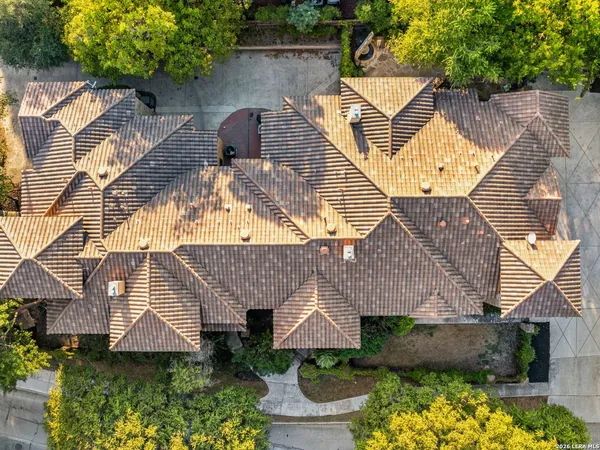 an aerial view of a house with a yard and potted plants