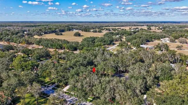 $925,000 | 6022 Hammock Hill Avenue, Lithia, FL 33547