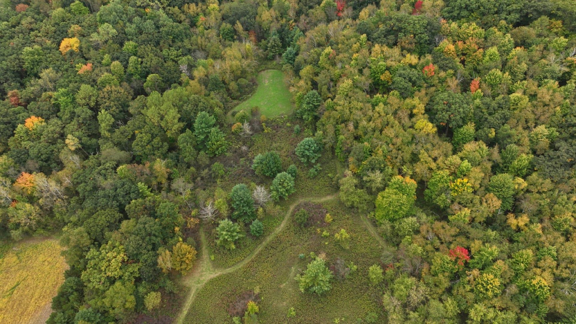 0 Pierce Road Hixton, WI 54635 - Photo 1 of 90 Gallery Image 1