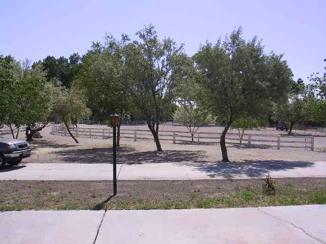 2555 Soda Lake Road, Unit 1 Fallon, NV 89406 - Photo 3 of 5