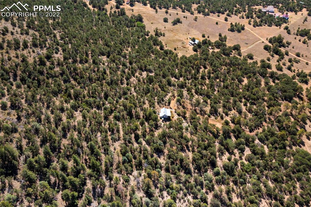 2126 E Path Cotopaxi, CO 81223 - Photo 16 of 34 a view of a tree