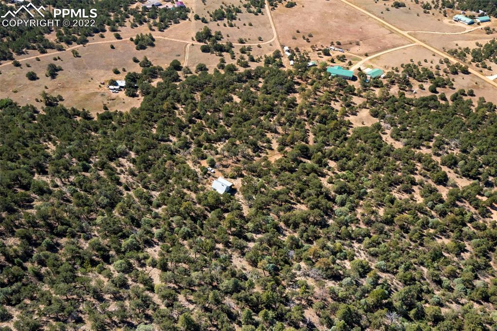 2126 E Path Cotopaxi, CO 81223 - Photo 17 of 34 a view of a tree