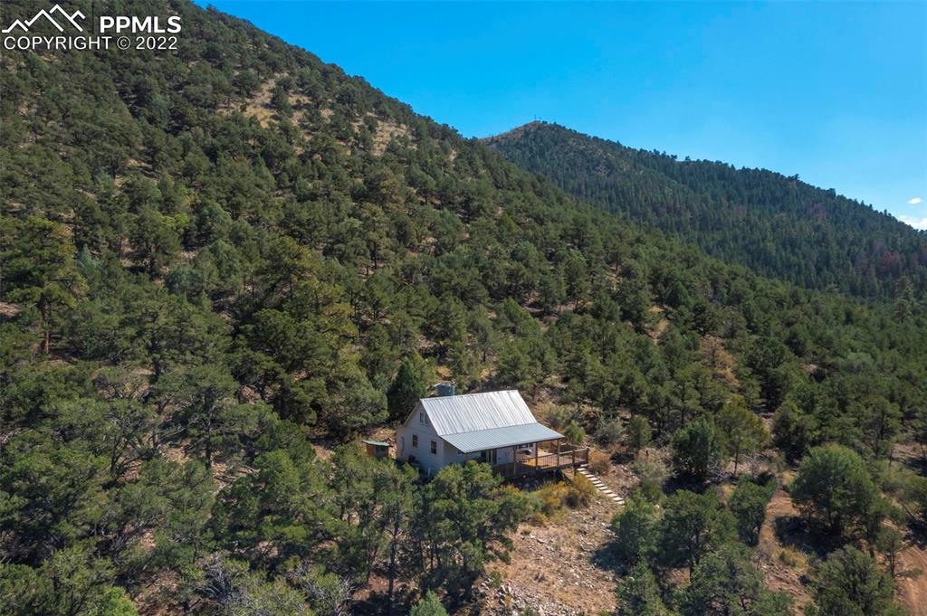 2126 E Path Cotopaxi, CO 81223 - Photo 27 of 34 a view of a forest with a mountain