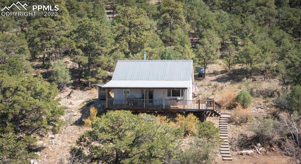 2126 E Path Cotopaxi, CO 81223 - Photo 32 of 34 a picture of trees