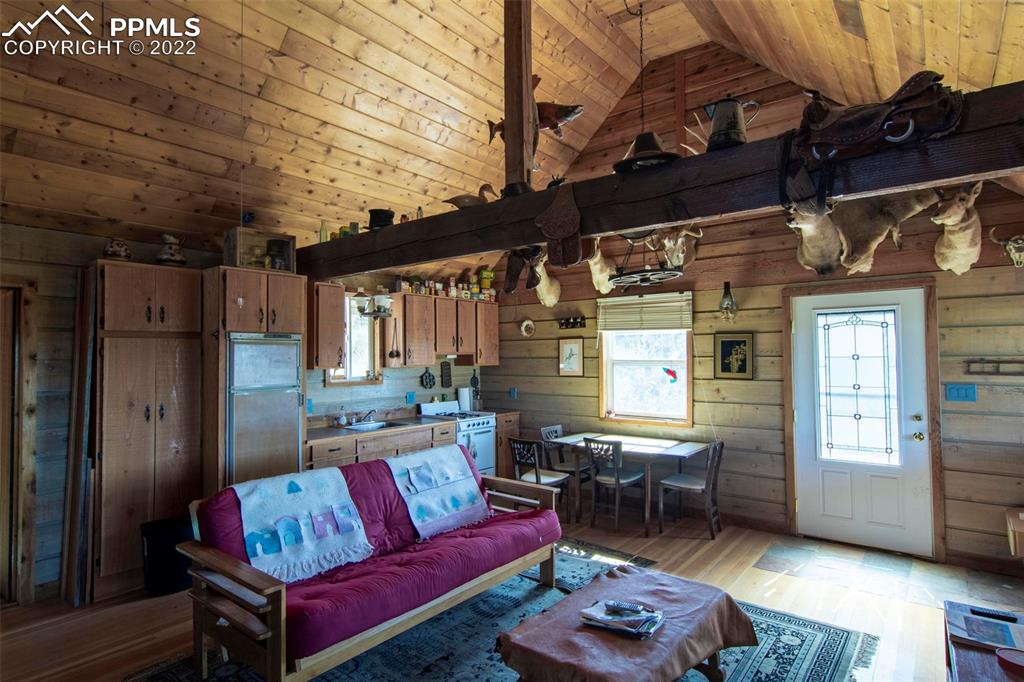 2126 E Path Cotopaxi, CO 81223 - Photo 6 of 34 a living room with furniture and a window