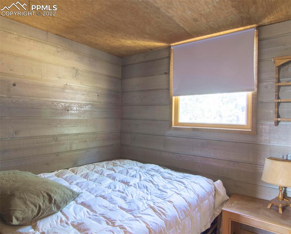 2126 E Path Cotopaxi, CO 81223 - Photo 9 of 34 a bedroom with a bed and a window