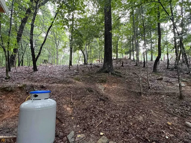 $1,550 | 321 25th Street, Ellijay, GA 30540