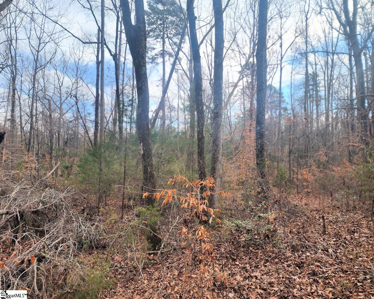3068 State Rd S-30-40 Gray Court, SC 29645 - Photo 15 of 27