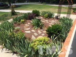 3901 Sue Lane Raleigh, NC 27604 - Photo 5 of 25 Beautiful landscaping