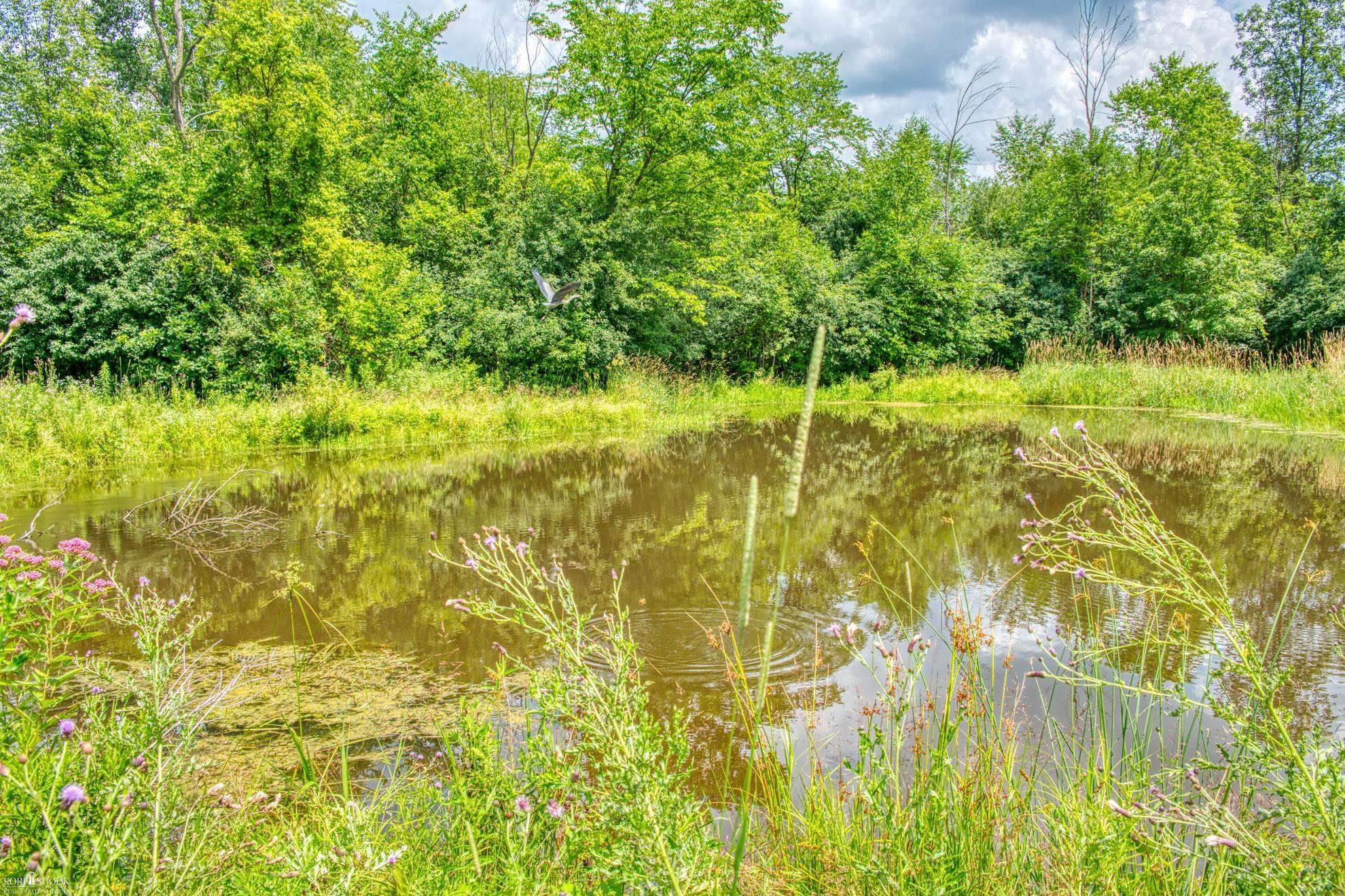 2393 Morrish Road Swartz Creek, MI 48473 - Photo 28 of 32 50148473-4e115559-2769-4714-9d09-979e36e99366.JPG