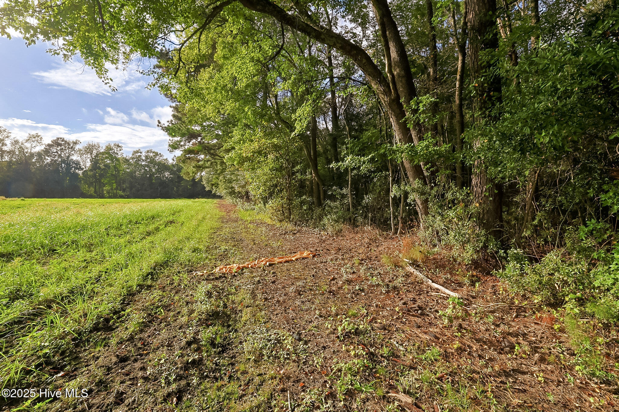 2-515 Porter Swamp Road Cerro Gordo, NC 28430 - Photo 8 of 12 07
