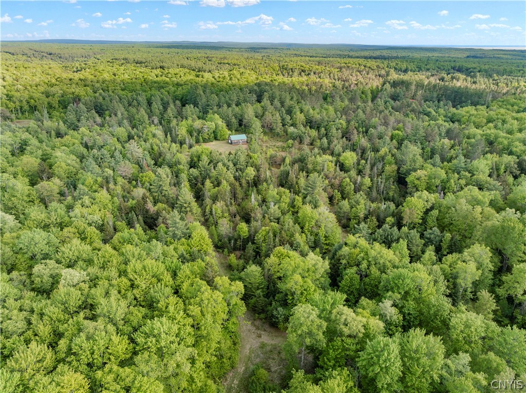 225 Lite Road Russia, NY 13338 - Photo 21 of 26