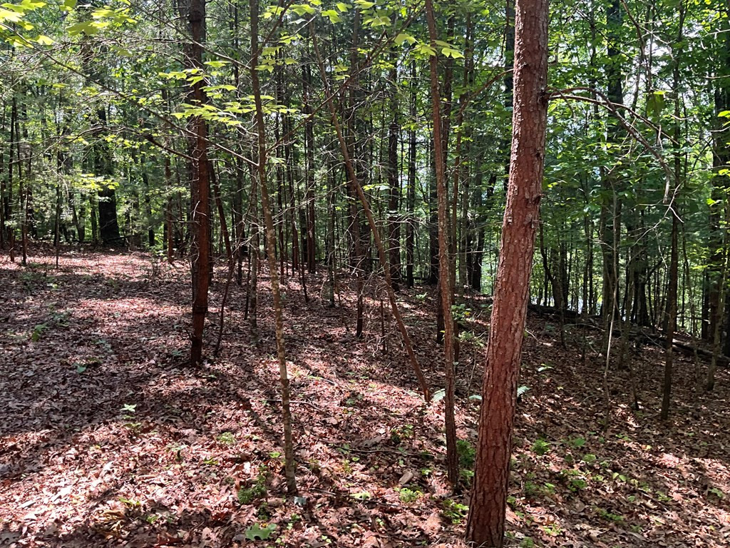5 Birds View Lane Murphy, NC 28906 - Photo 11 of 17