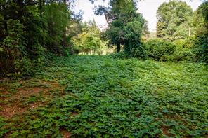 585 Mountain Road Westminster, SC 29693 - Photo 10 of 20 Discover a spacious, verdant lot offering ample space for development or outdoor enjoyment.
