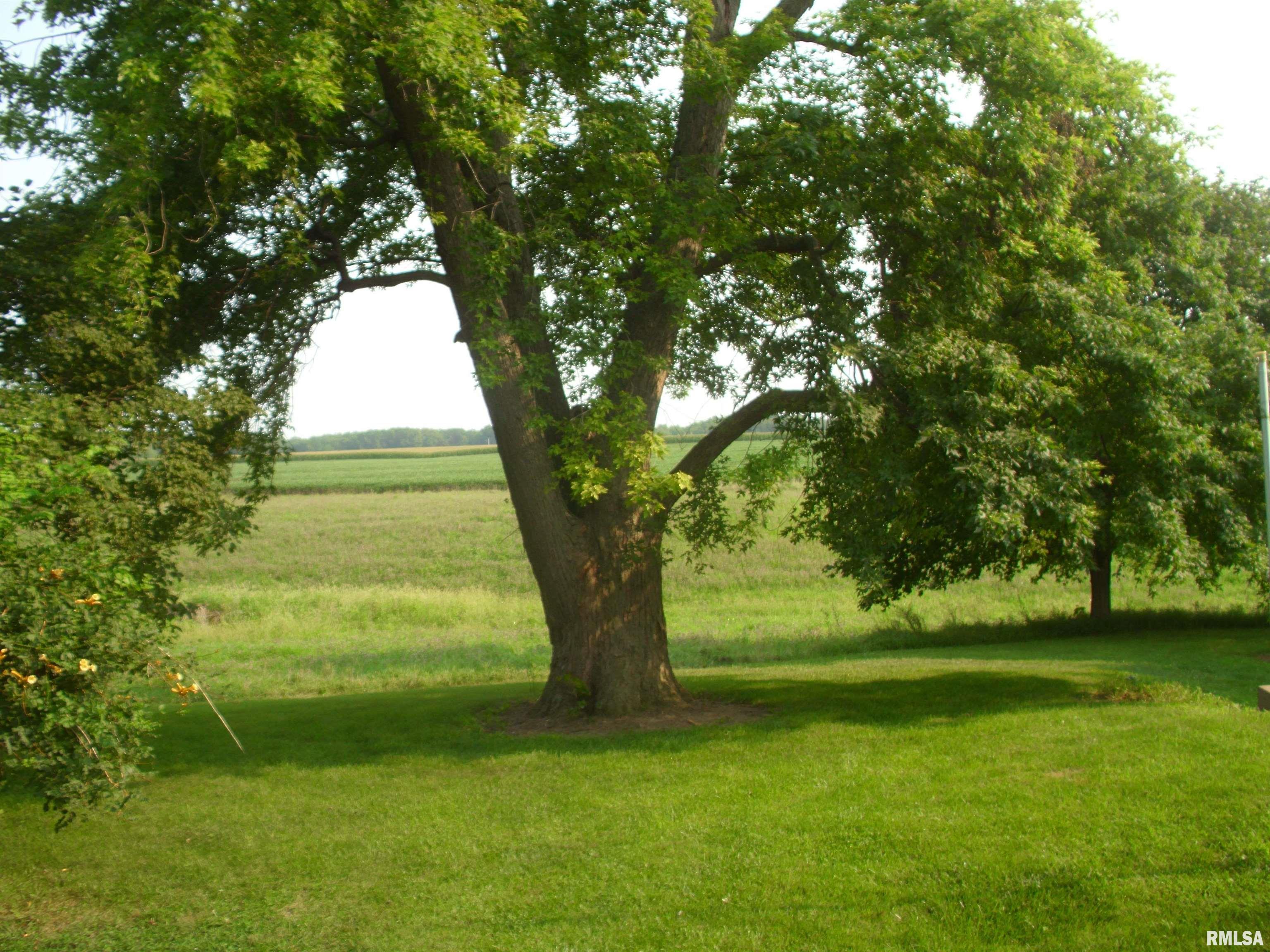 16670 6 Corners Road Virginia, IL 62691 - Photo 8 of 51 Gallery Image 8