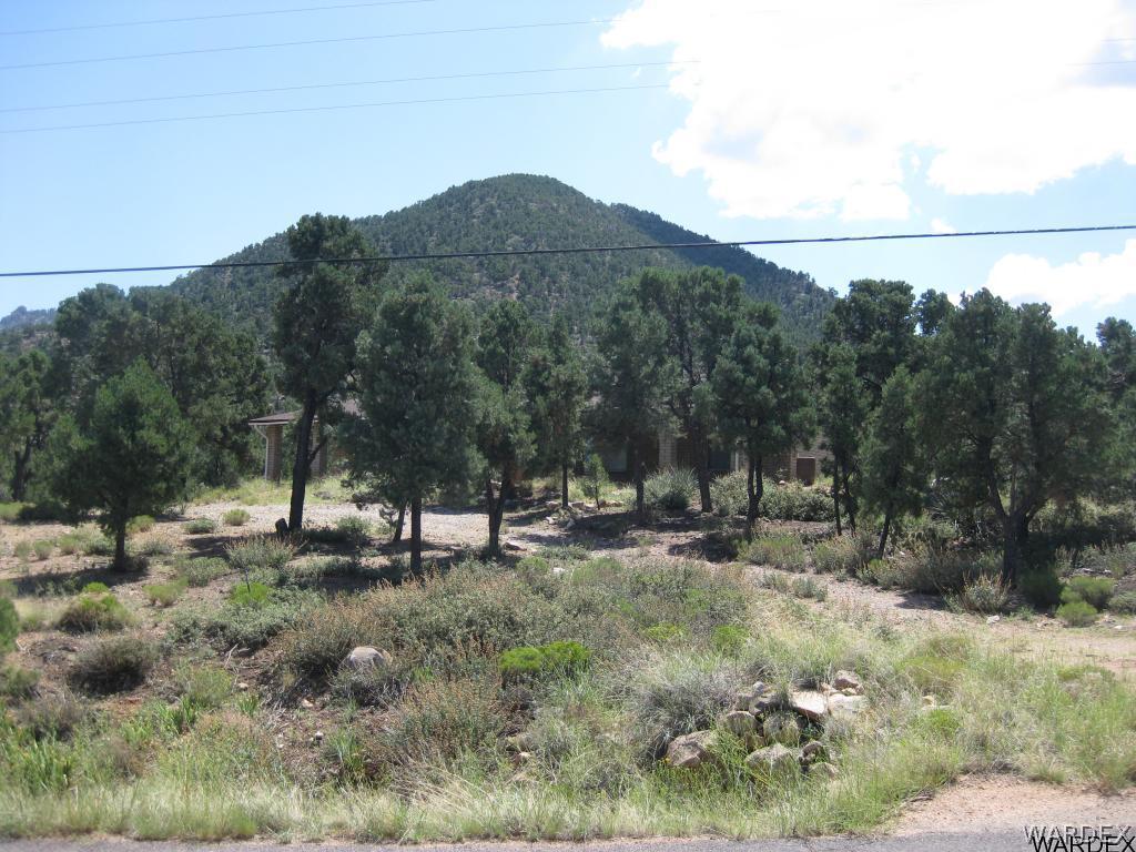 2676 South Dw Ranch Road Kingman, AZ 86401 - Photo 34 of 35 More views