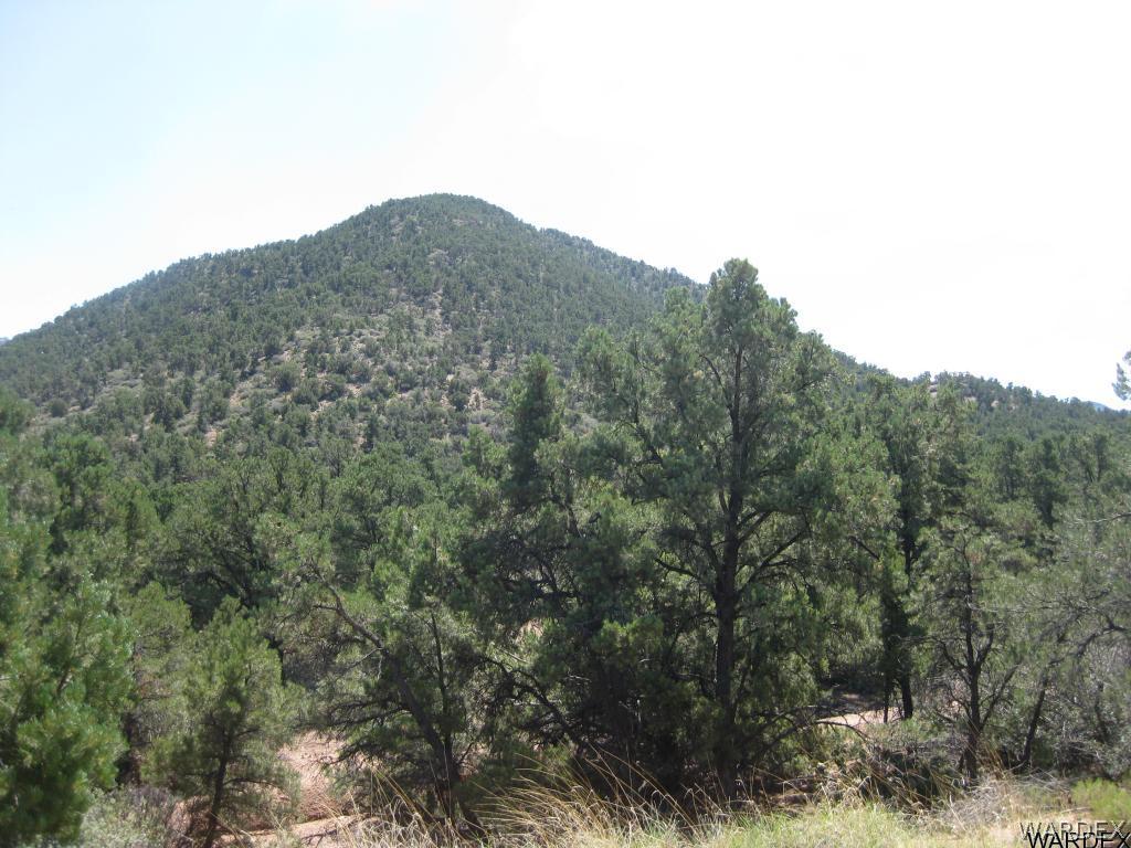 2676 South Dw Ranch Road Kingman, AZ 86401 - Photo 8 of 35 Amazing views