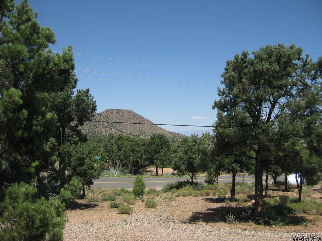2676 South Dw Ranch Road Kingman, AZ 86401 - Photo 9 of 35 They go on forever