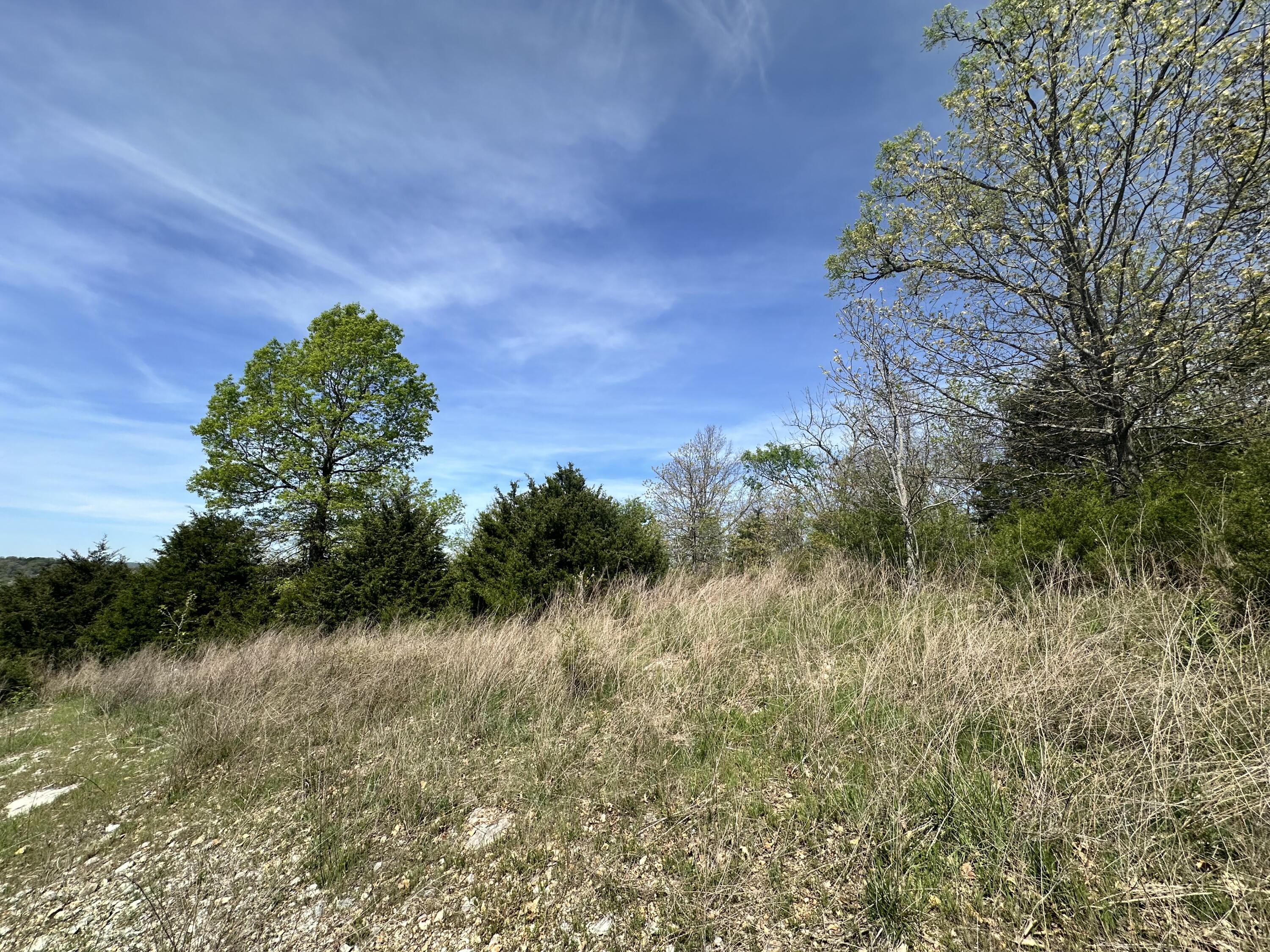 Lot 25 Hanging Branch Ridge Rd Cape Cape Fair, MO 65624 - Photo 1 of 1 Lot 25 Hanging Branch Ridge RD (1)