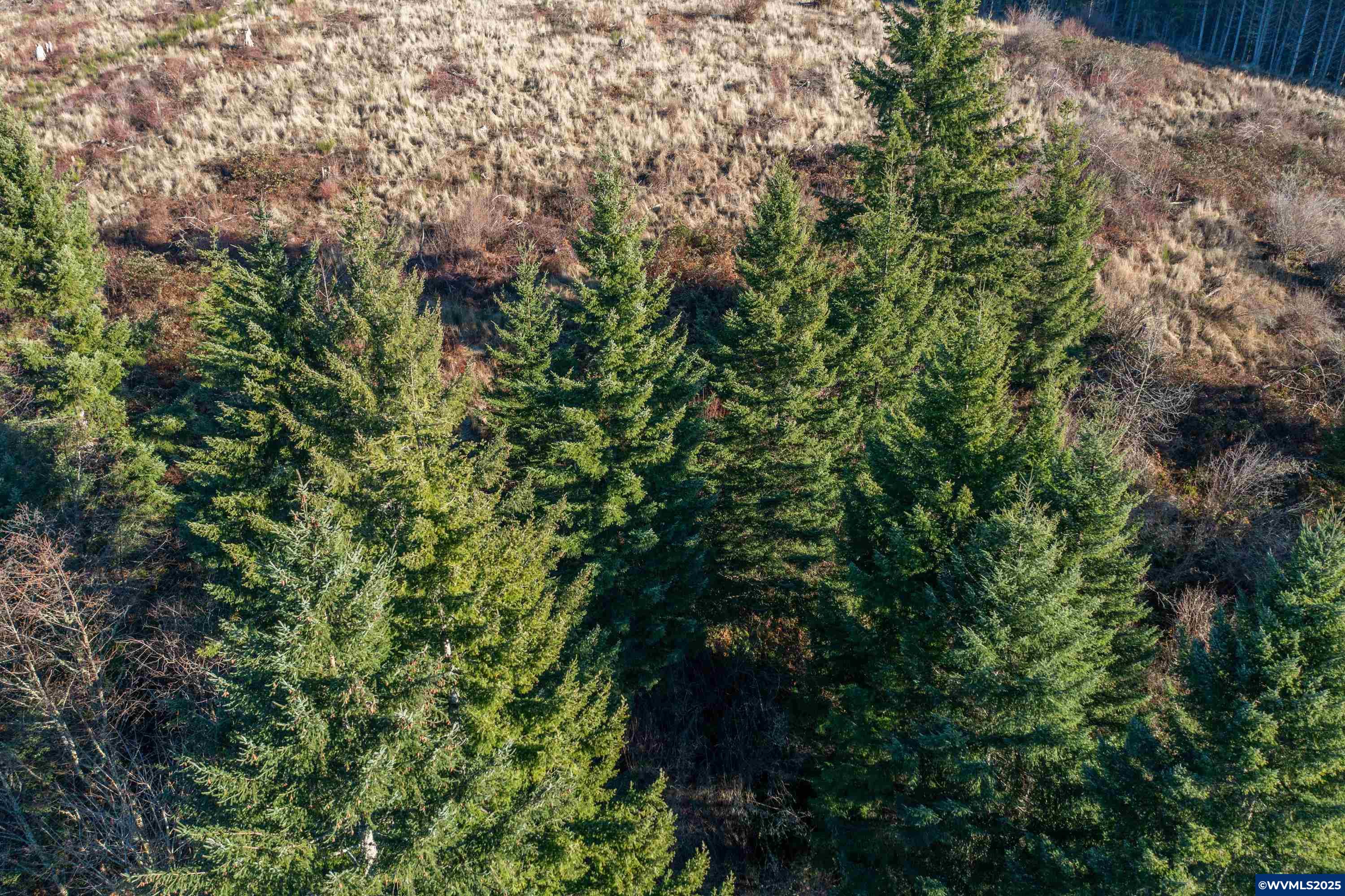 0 Northwest Sellers Road North Plains, OR 97133 - Photo 12 of 36