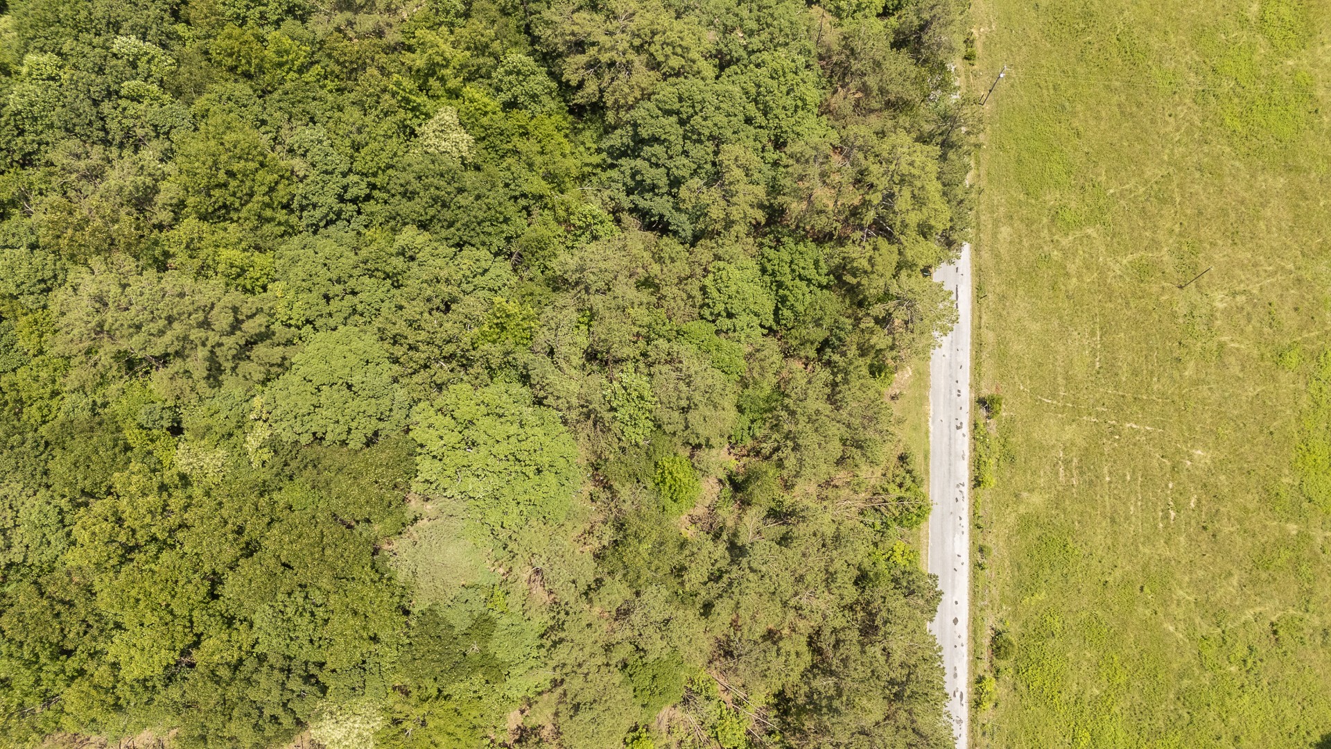 912 Simmons Branch Road Waynesboro, TN 38485 - Photo 12 of 21