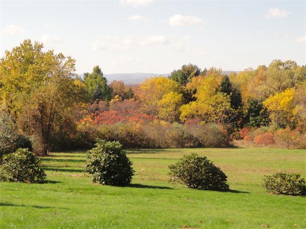 209 Rolling Ridge Road Amherst, MA 01002 - Photo 2 of 30 Gallery Image 2