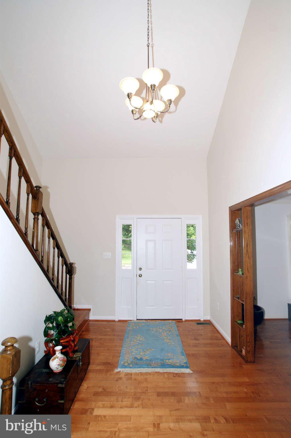 7415 Jenna Road Springfield, VA 22153 - Photo 2 of 30 Spacious Hardwood Foyer