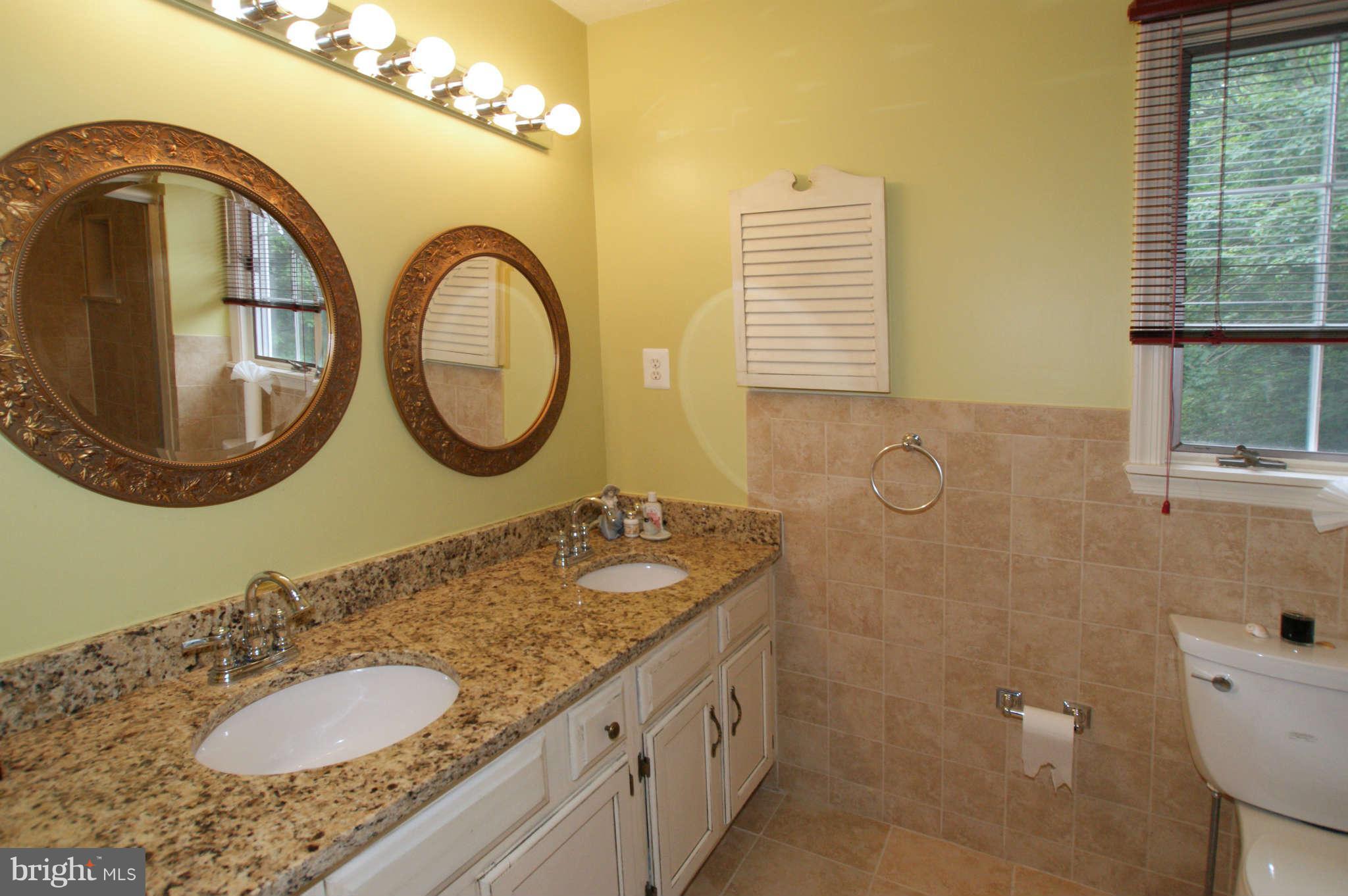 7415 Jenna Road Springfield, VA 22153 - Photo 17 of 30 Master Bath Vanity
