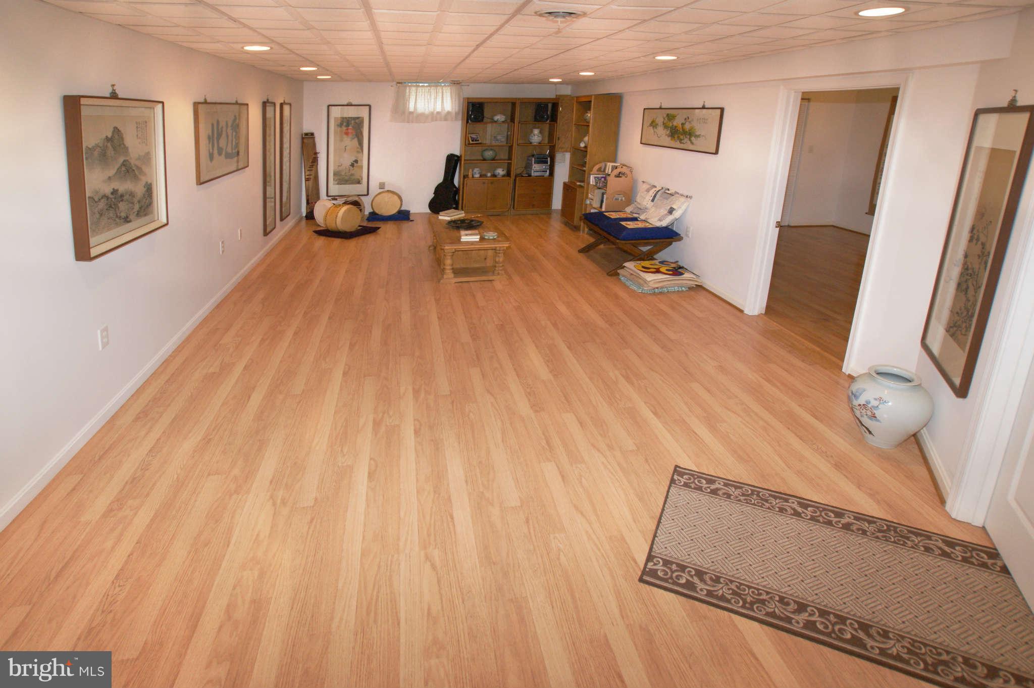 7415 Jenna Road Springfield, VA 22153 - Photo 24 of 30 Recreation Room - View 2