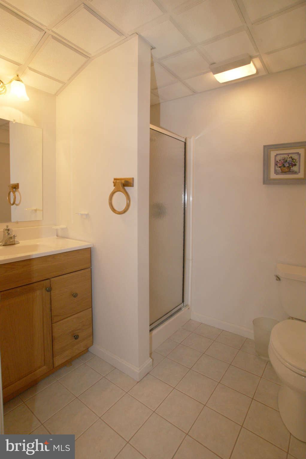 7415 Jenna Road Springfield, VA 22153 - Photo 27 of 30 3rd Full Bath on Lower Level