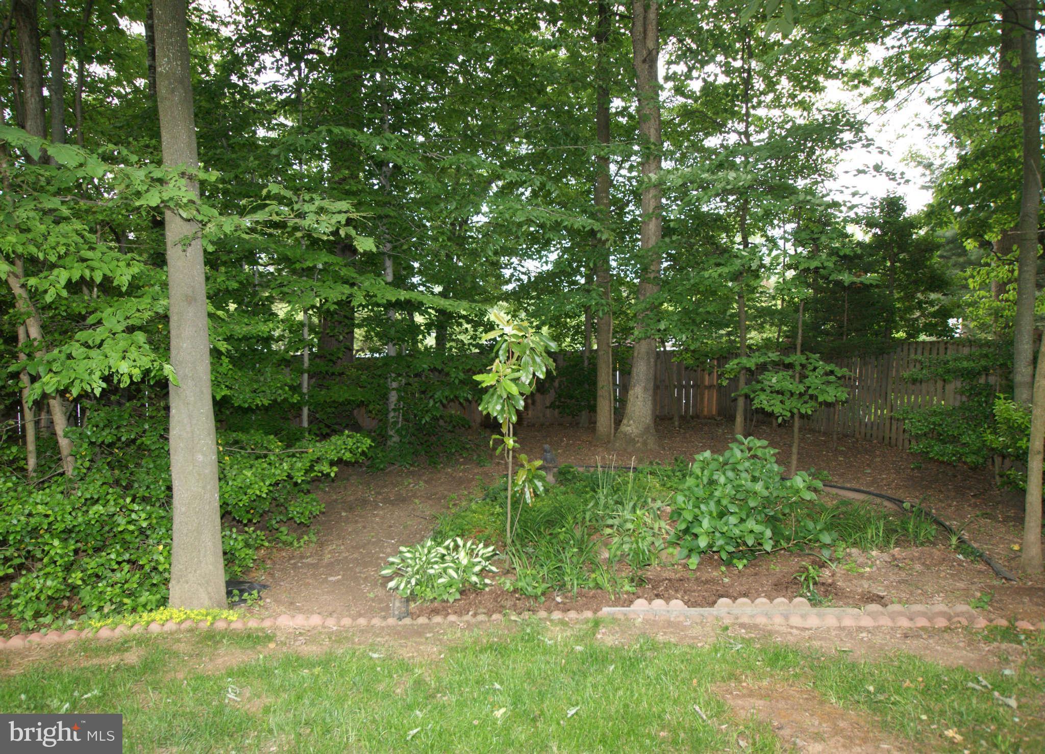 7415 Jenna Road Springfield, VA 22153 - Photo 30 of 30 View from Patio