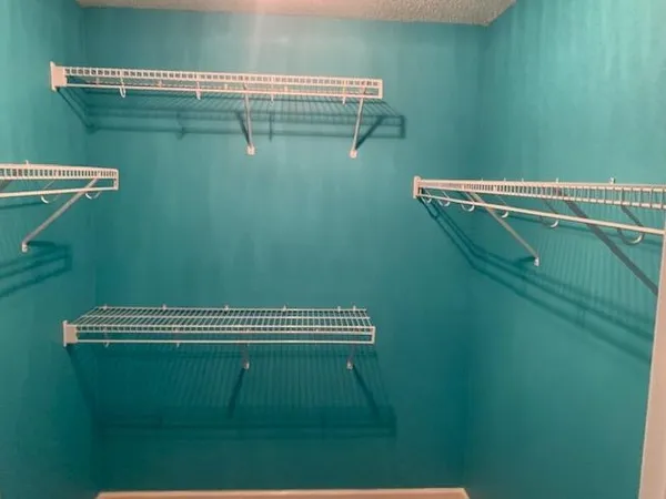 a bathroom with a sink a mirror and a shower