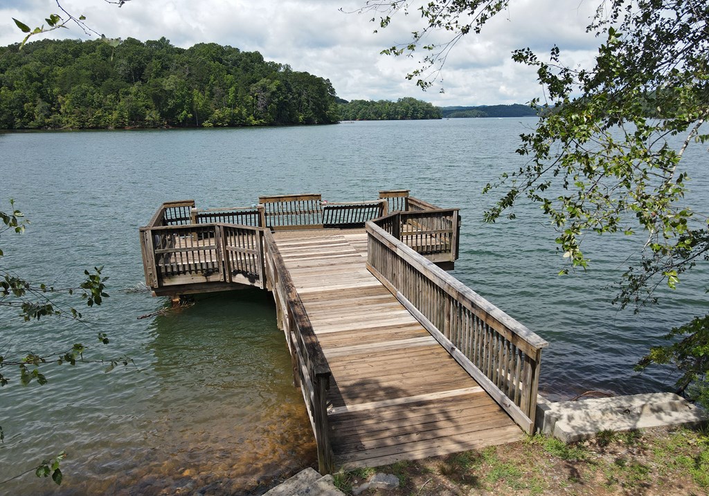 16 Sims Drive Hiawassee, GA 30546 - Photo 41 of 56