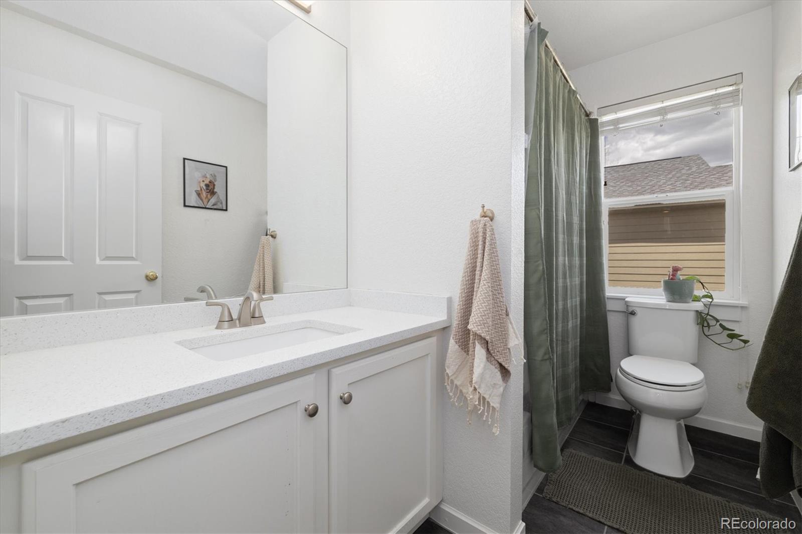 10938 McClellan Road Parker, CO 80134 - Photo 21 of 30